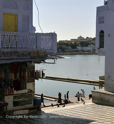 01 Pushkar_DSC4900_b_H600